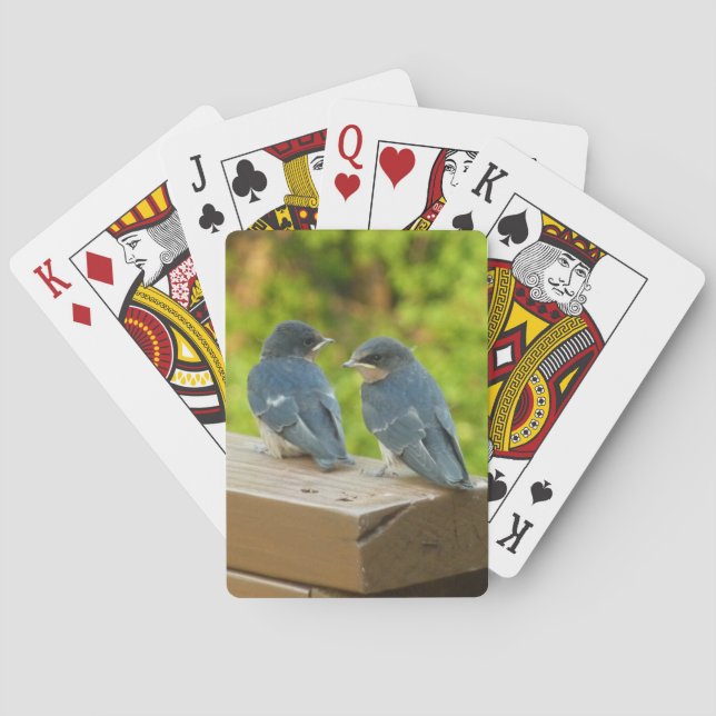 Baby Barn Swallows Nature Bird Photography Poker Cards (Back)