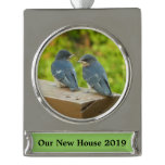Baby Barn Swallows Nature Bird Photography Silver Plated Banner Ornament