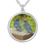 Baby Barn Swallows Nature Bird Photography Silver Plated Necklace