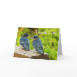 Baby Barn Swallows Nature Bird Photography Thank You Card
