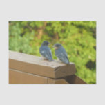 Baby Barn Swallows Nature Bird Photography Tissue Paper