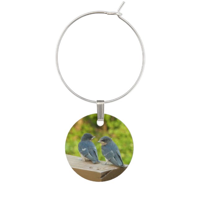Baby Barn Swallows Nature Bird Photography Wine Glass Charm (Front)