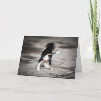 Baby Beagle Bottom Card
