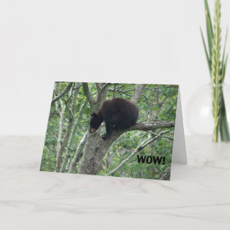 baby bear birthday card