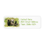 Baby Bear Return Address Label