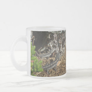 Baby Bearded Dragon Lizards, Frosted Glass Coffee Mug
