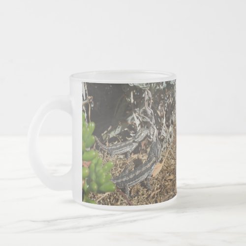 Baby Bearded Dragon Lizards Frosted Glass Coffee Mug