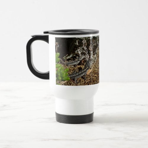 Baby Bearded Dragon Lizards Travel Mug