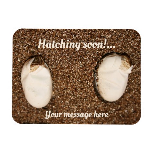 Baby Bearded Dragons Hatching Magnet