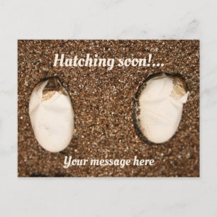 Baby Bearded Dragons Hatching! Postcard