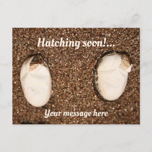 Baby Bearded Dragons Hatching Postcard