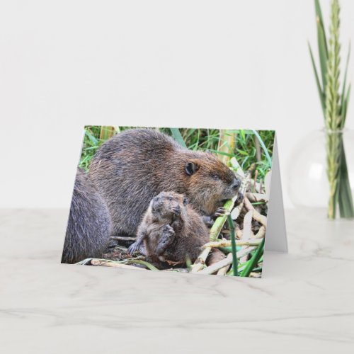 Baby Beaver and Family Photo Card