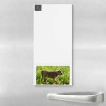 Baby Belle Magnet Notepad