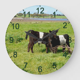 Baby Belted Galloway Calves, Wall Clock