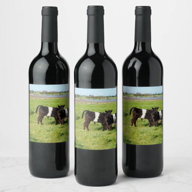Baby Belted Galloway Calves, Wine Labels (Bottles)