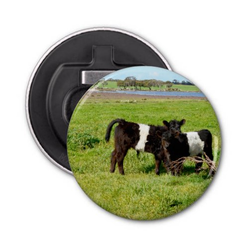 Baby Belted Galloway Cows In Country Bottle Opener