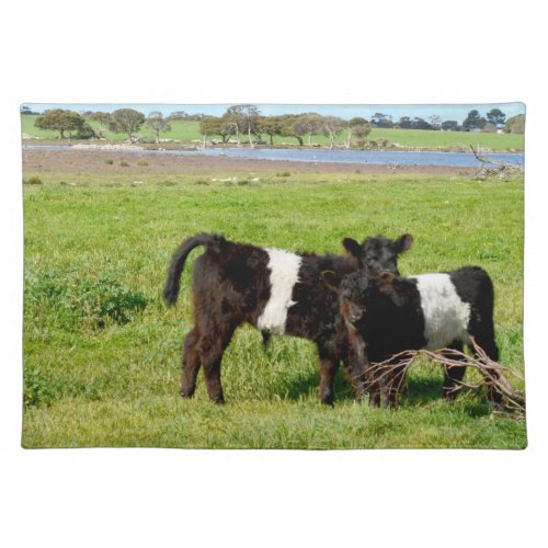 Baby Belted Galloway Cows In Country Cloth Placemat