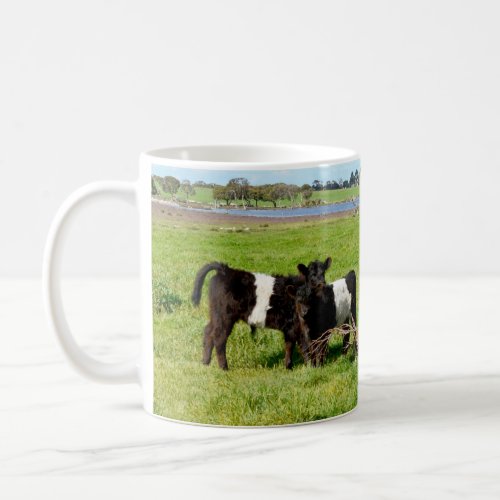 Baby Belted Galloway Cows In Country Coffee Mug