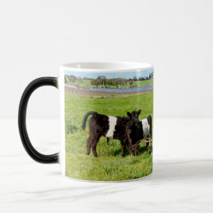 Baby Belted Galloway Cows In Country, Color Morph Mug