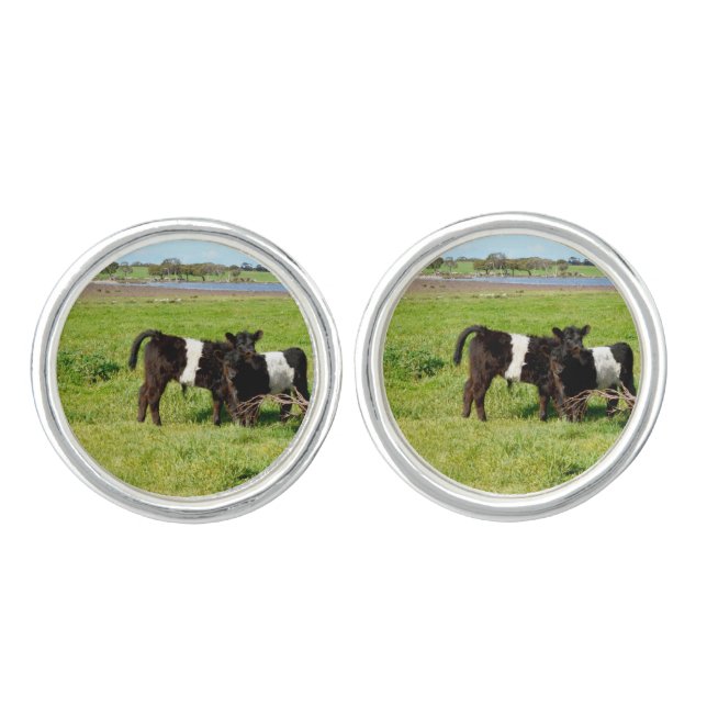 Baby Belted Galloway Cows In Country, Cufflinks (Front)
