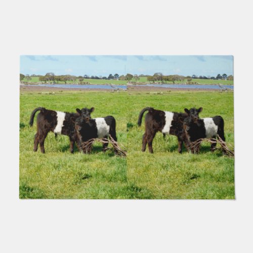 Baby Belted Galloway Cows In Country Door Mat