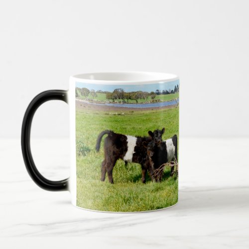 Baby Belted Galloway Cows In Country Magic Mug