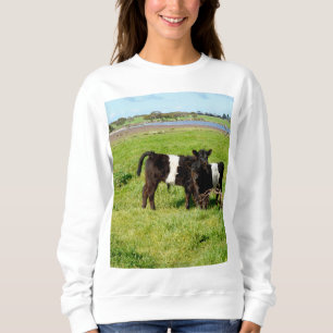 Baby Belted Galloway Cows In Country, Sweatshirt