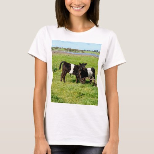 Baby Belted Galloway Cows In Country T_Shirt