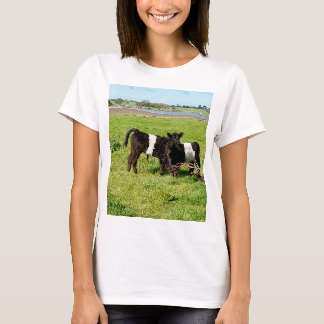 Baby Belted Galloway Cows In Country, T-Shirt (Front)