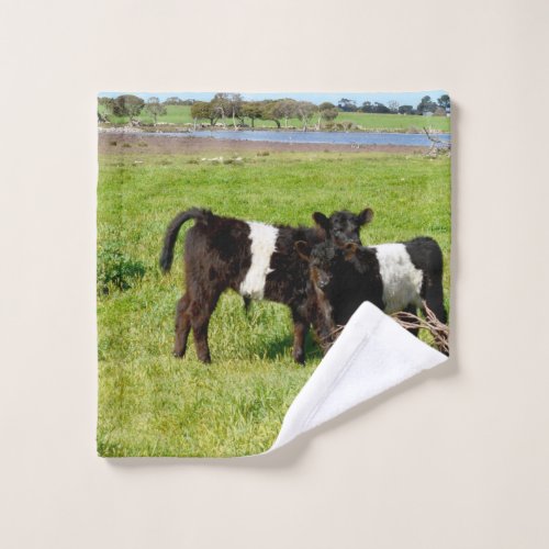 Baby Belted Galloway Cows In Country Wash Cloth