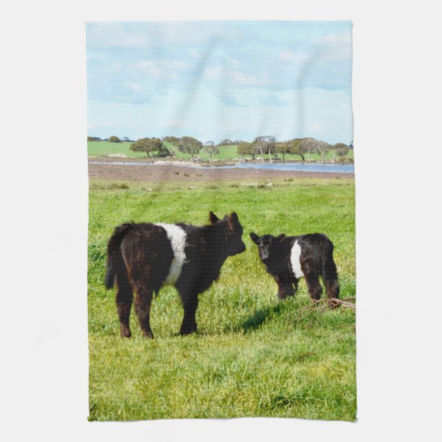 Baby Belted Galloway Cows In The Country, Kitchen Towel (Vertical)