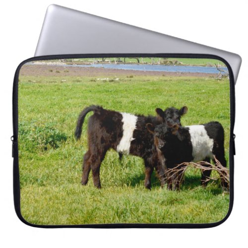 Baby Belted Galloway Cows In The Country Laptop Sleeve