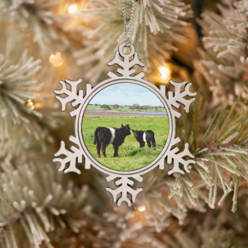 Baby Belted Galloway Cows In The Country Snowflake Pewter Christmas Ornament