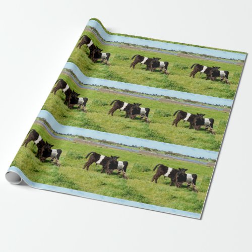 Baby Belted Galloway Cows In The Country Wrapping Paper