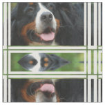 Baby  Bernese Mountain Dog Fabric