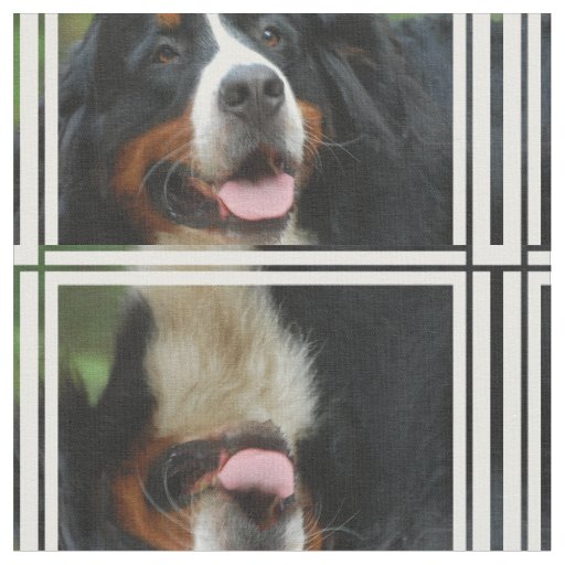 Baby  Bernese Mountain Dog Fabric