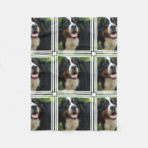 bernese mountain dog throw blanket
