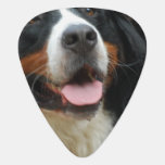 Baby Bernese Mountain Dog Guitar Pick