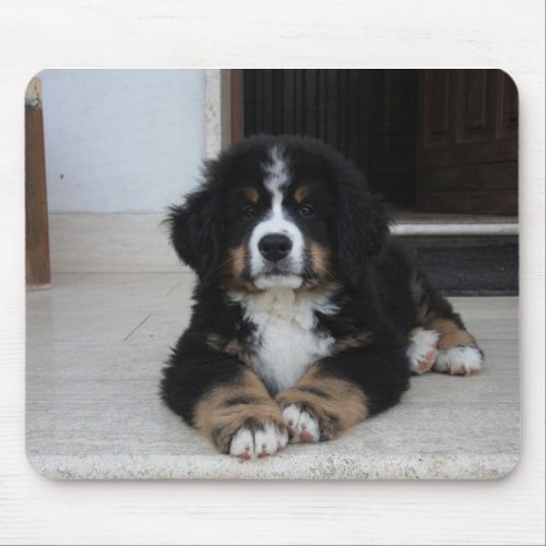 Baby Bernese Mountain Dog Mouse Pad