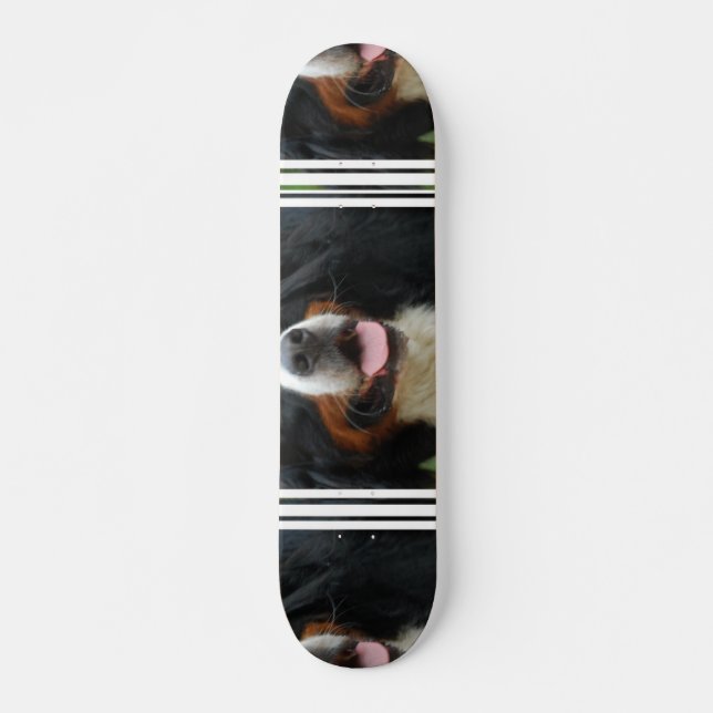 Baby Bernese Mountain Dog Skateboard Deck (Front)