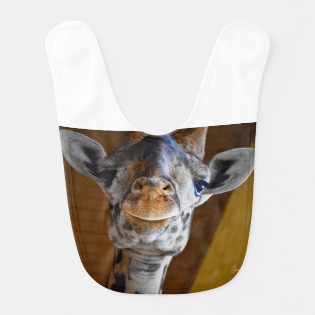  baby bib (Front)