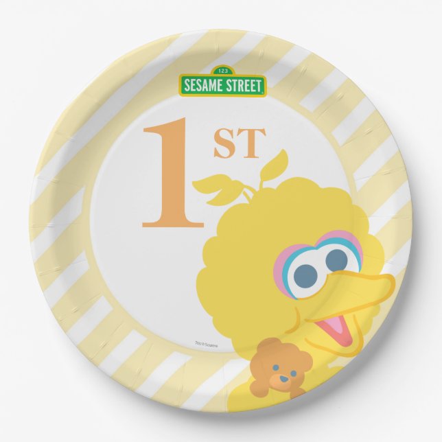 Baby Big Bird Birthday Paper Plates (Front)
