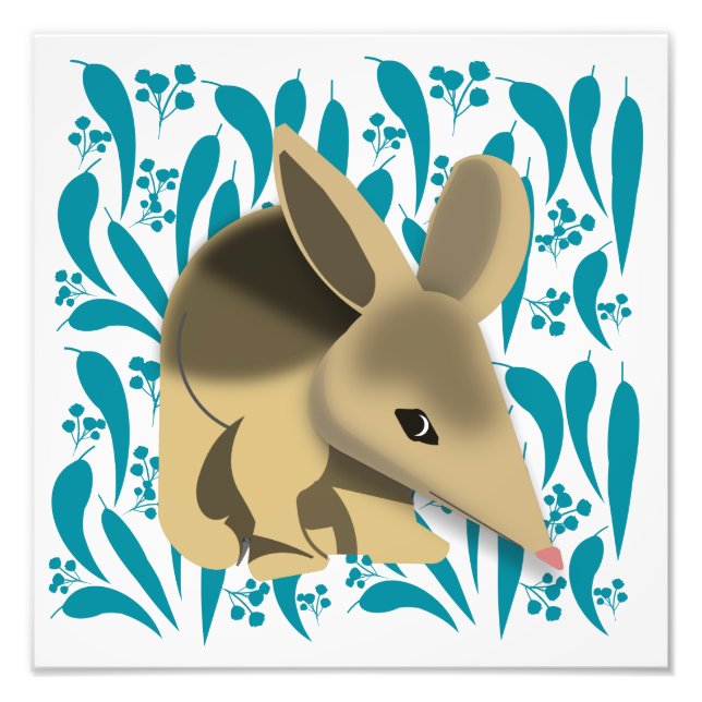 Baby Bilby Photo Print (Front)