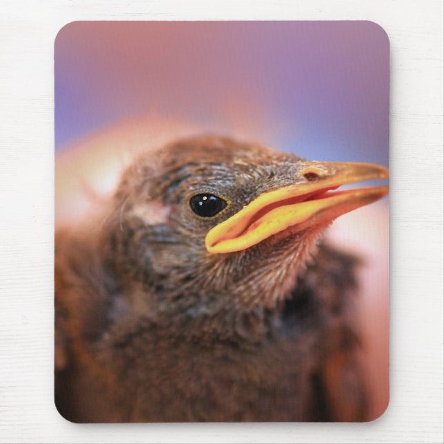 Baby Bird Mouse Pad (Front)