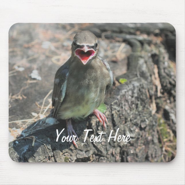 Baby Bird Nature Photography Mousepad (Front)