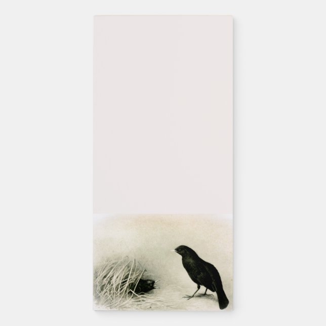 Baby Bird Nest Ravens Magnetic Notepad (Front)