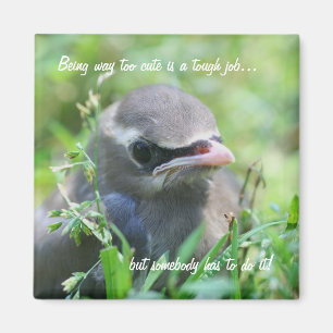 Baby Bird Too Cute Funny Nature Magnet