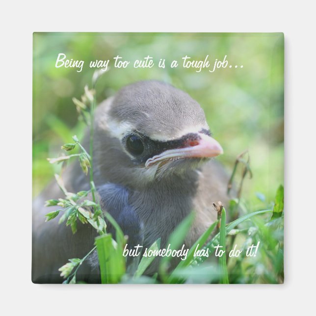 Baby Bird Too Cute Funny Nature Magnet (Front)