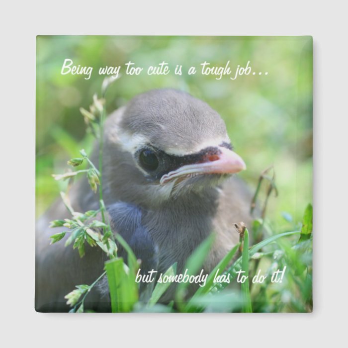 Baby Bird Too Cute Funny Nature Magnet