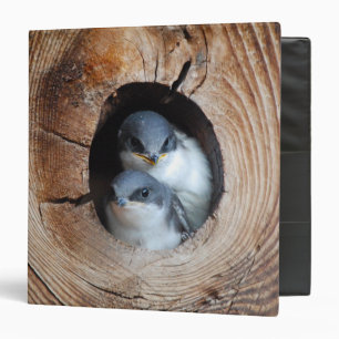 Baby Birds Binder